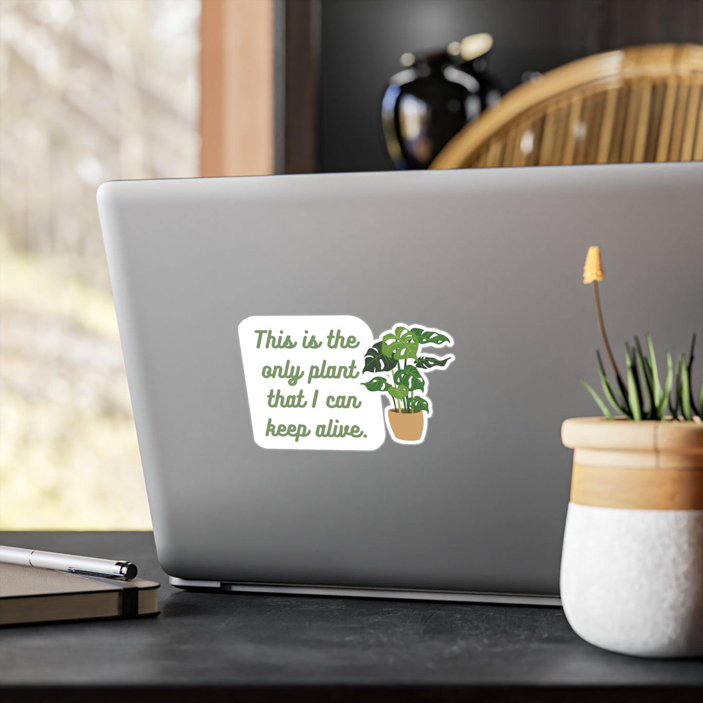 This is the only plant that I can keep alive | Sticker, Plants