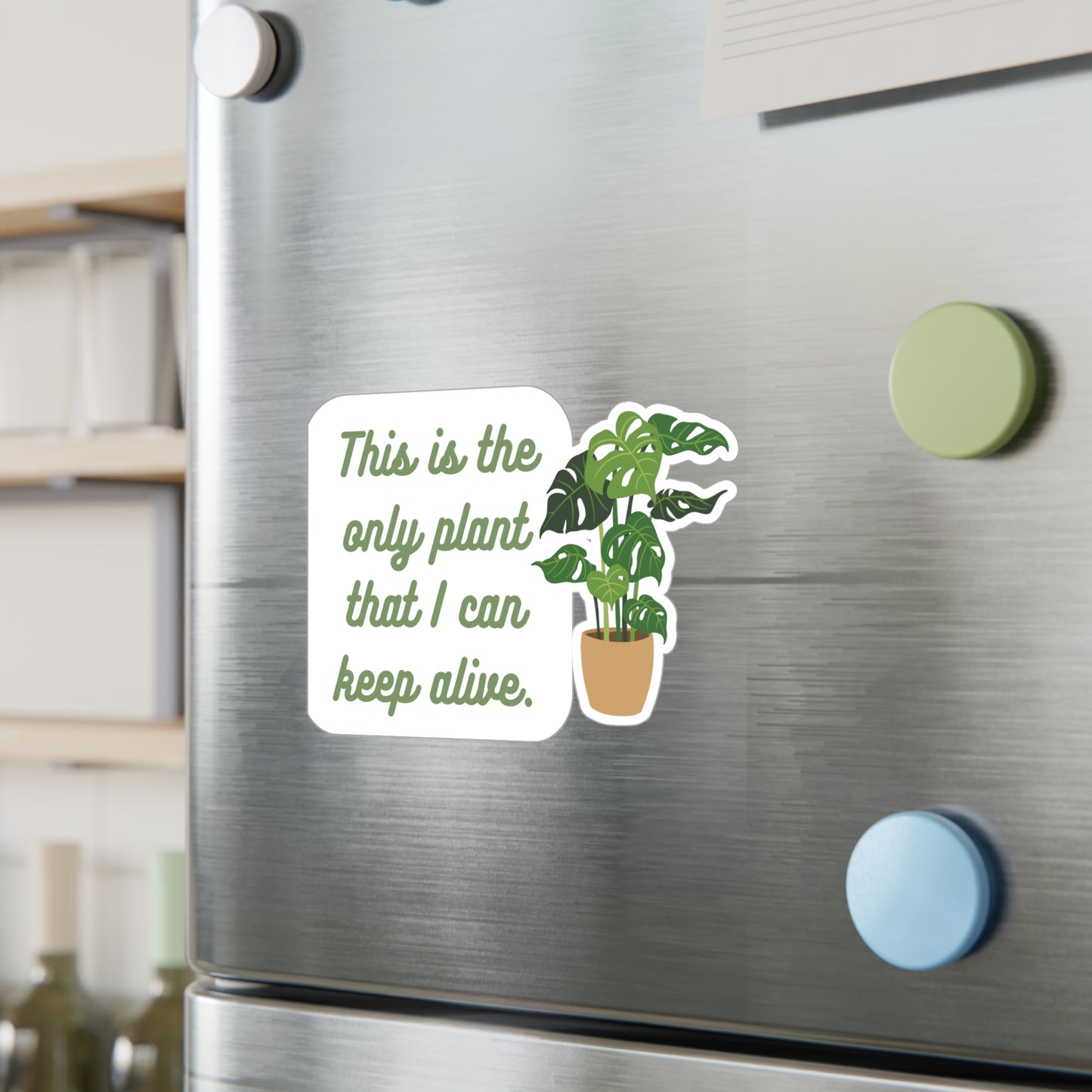 This is the only plant that I can keep alive | Sticker, Plants