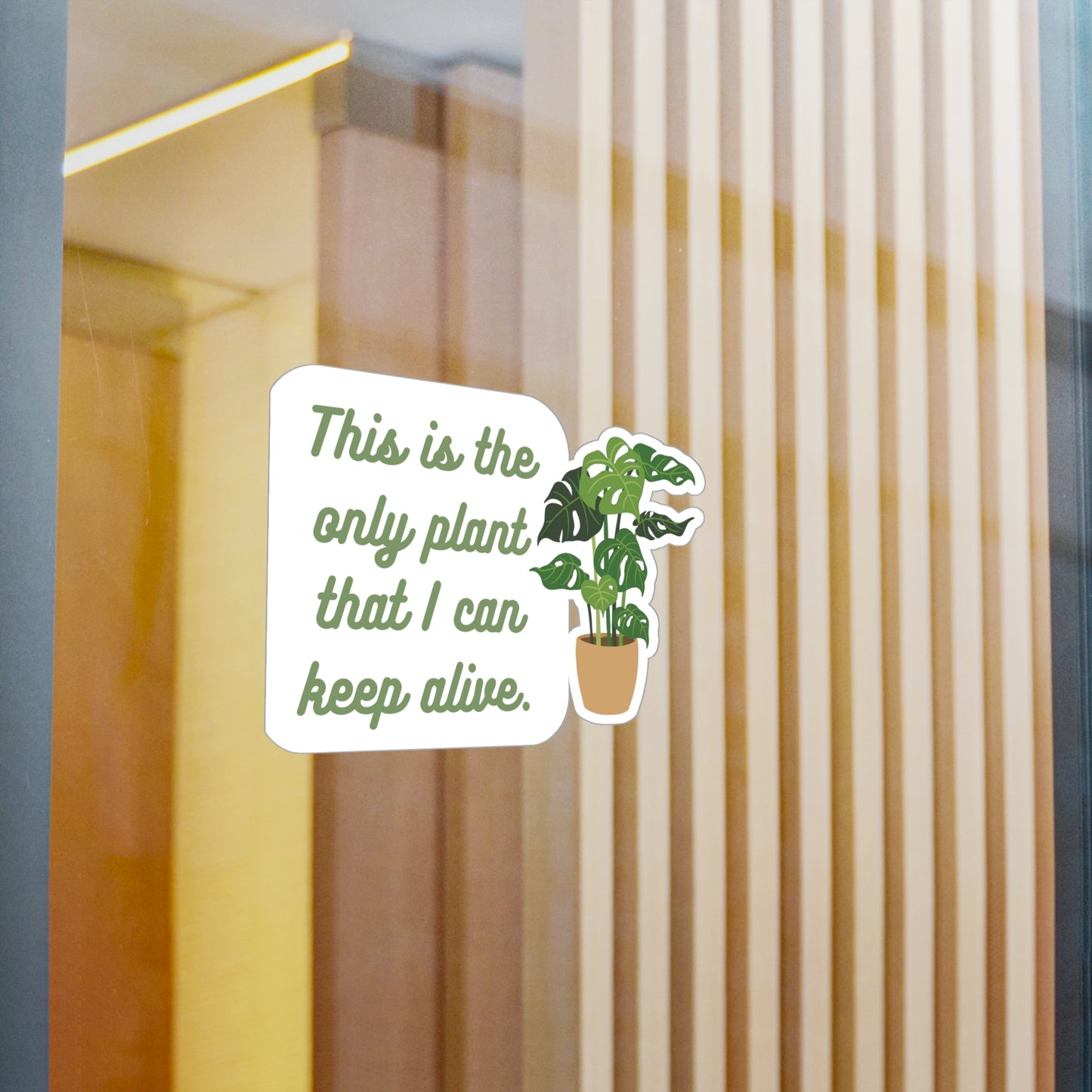 This is the only plant that I can keep alive | Sticker, Plants