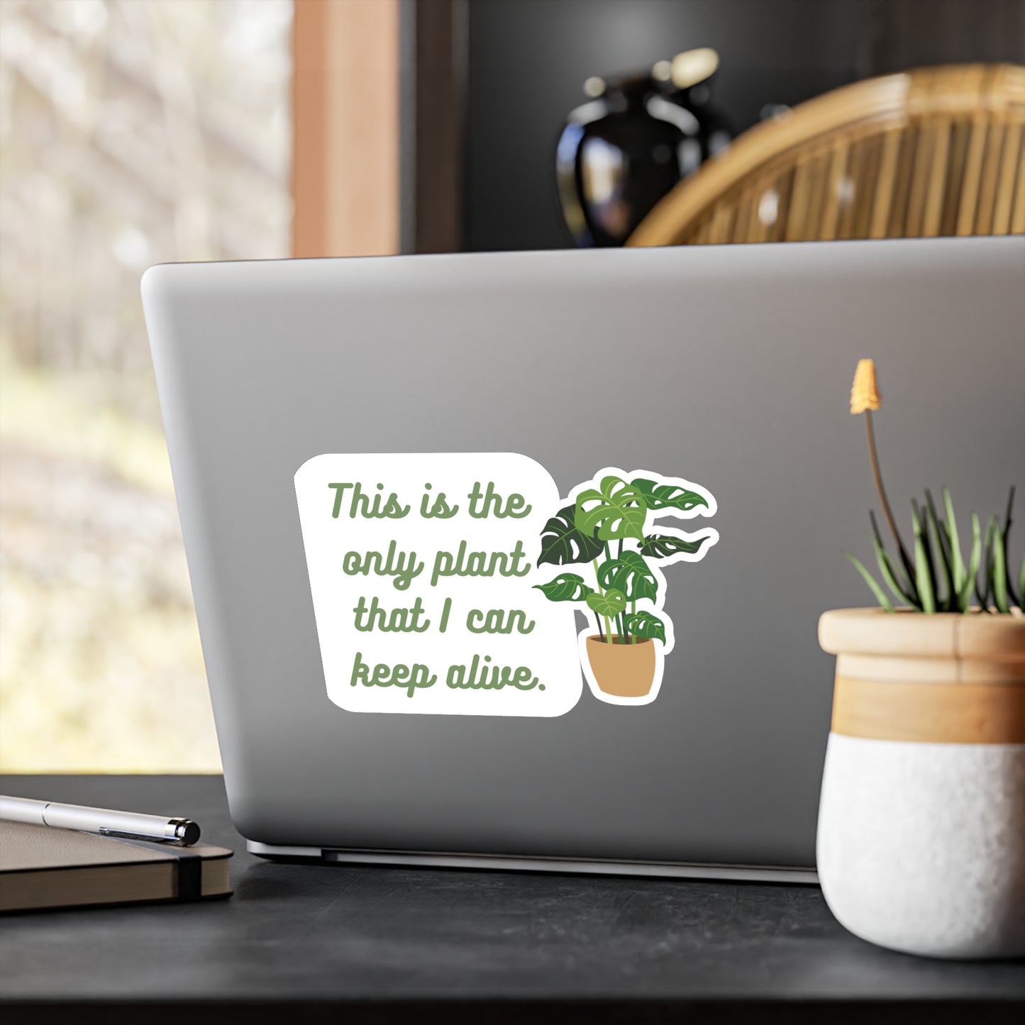 This is the only plant that I can keep alive | Sticker, Plants