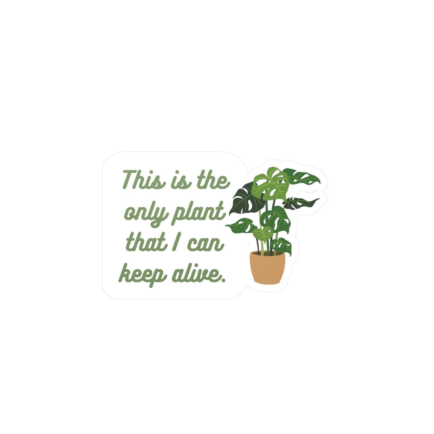 This is the only plant that I can keep alive | Sticker, Plants