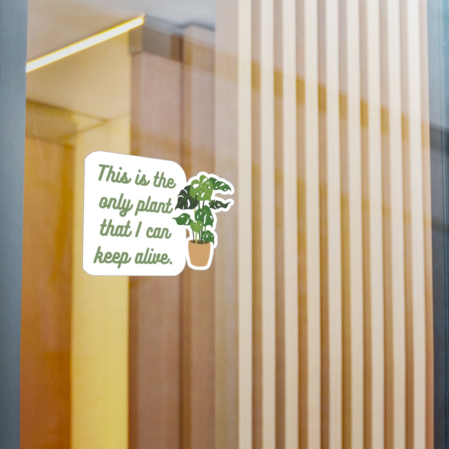 This is the only plant that I can keep alive | Sticker, Plants